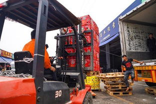 海峽兩岸攜手，滯銷水果變暢銷——物流城倉儲服務助力臺農脫困