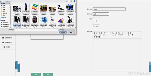 基于Django與Vue的高校體育器材管理系統(tǒng)的設(shè)計與實現(xiàn)