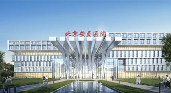 精誠合作謀新篇 東方安貞醫院考察團赴黃山多弗項目考察監理工作